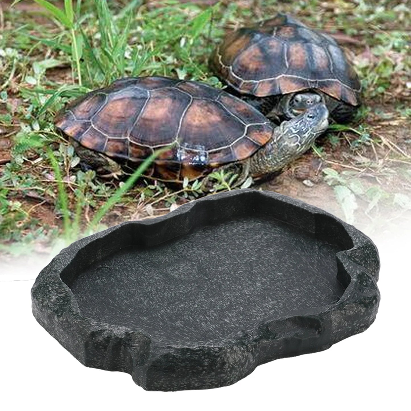 Gamelle Reptile Résine