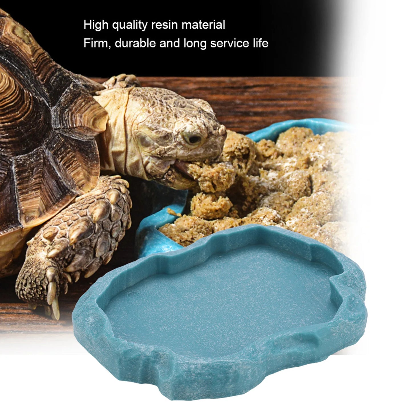 Gamelle Reptile Résine