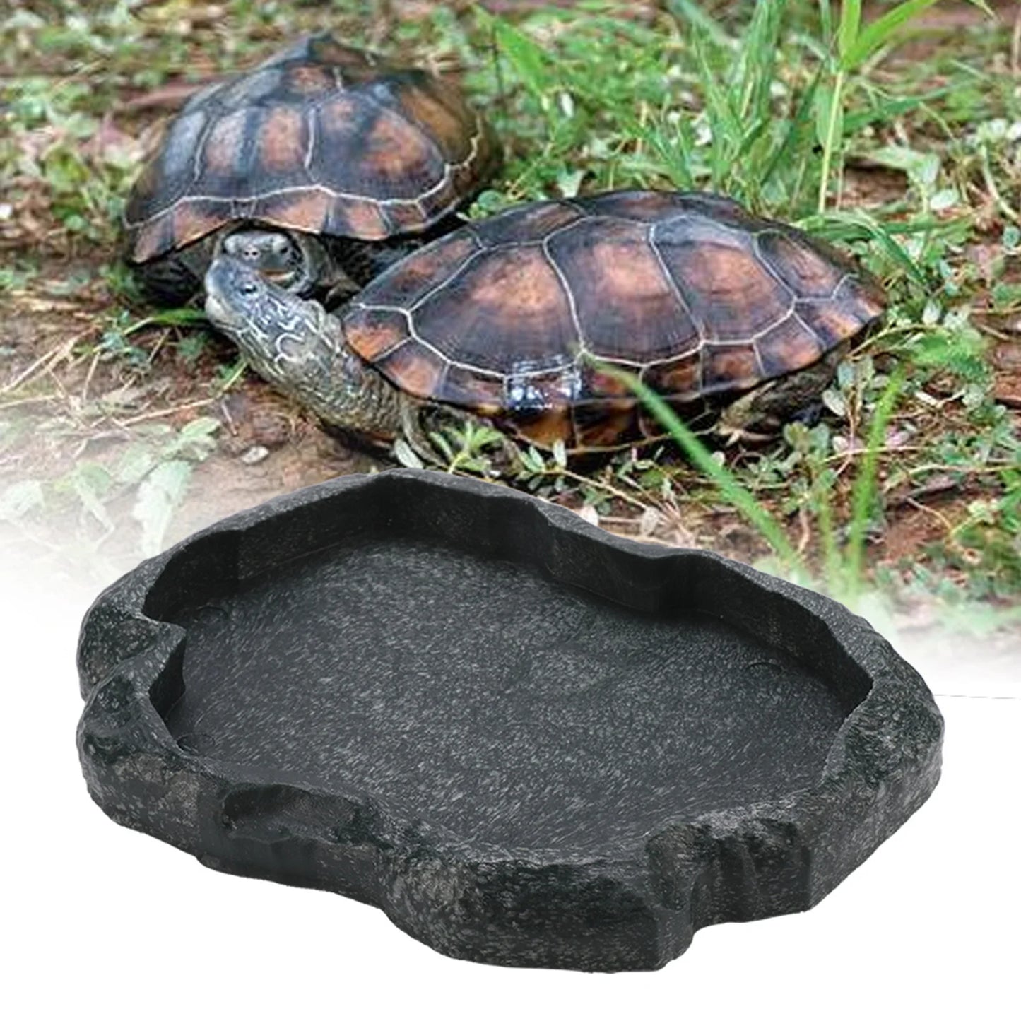 Gamelle Reptile Résine