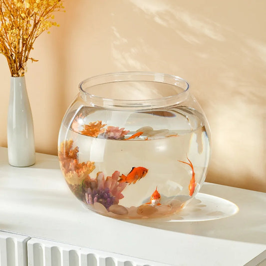 Bocal Transparent Poisson