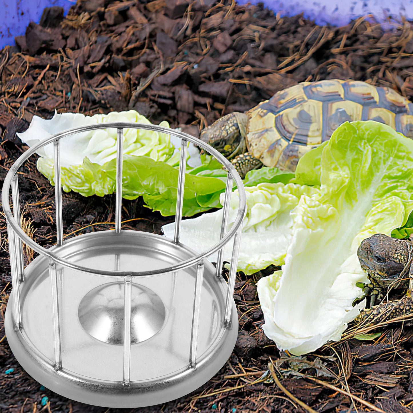 Bol Inox Reptile