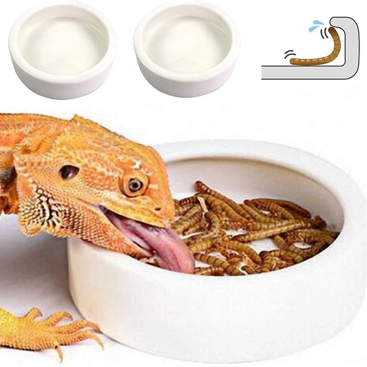 Bol Reptile Anti-Fuite