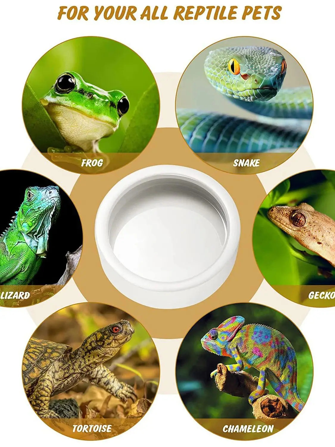 Bol Reptile Anti-Fuite